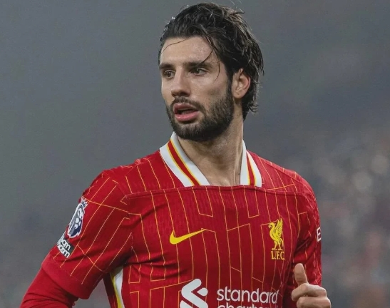 Read more about the article Liverpool: Szoboszlai Minta Maaf Usai Blunder yang Dinilai Tak Menghormati Lawan